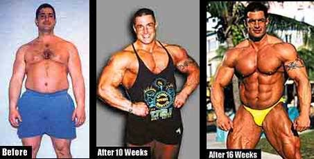 muscle memory transformation