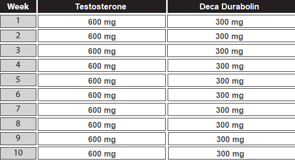 testosterone deca cycle